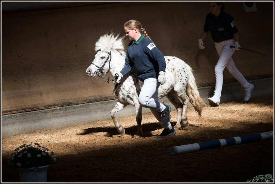 Pferd International 012